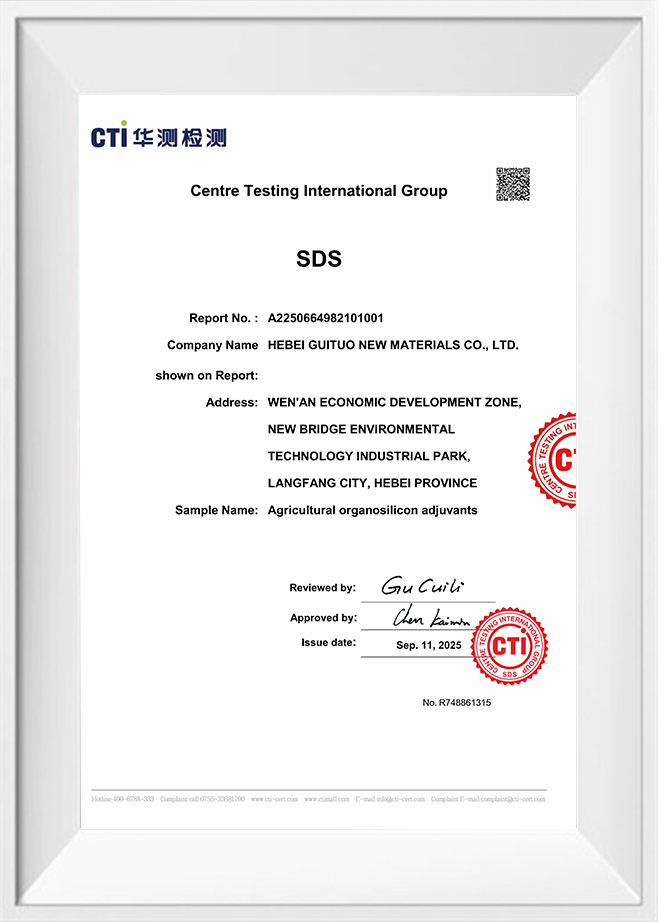 Centro de pruebas del grupo internacional