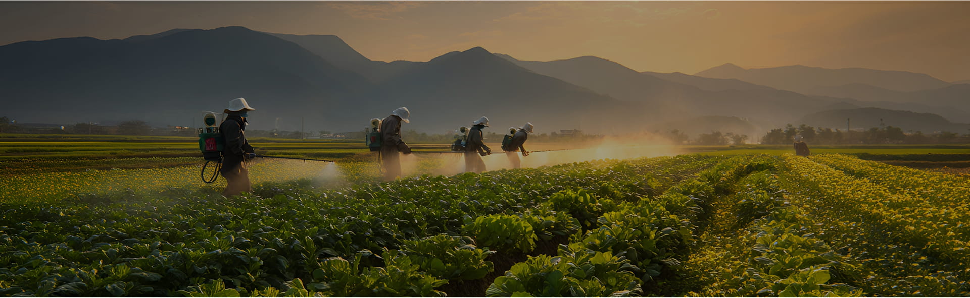 Hebei Guituo nuevo material Co., Ltd.